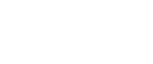 Logo Now Insurance